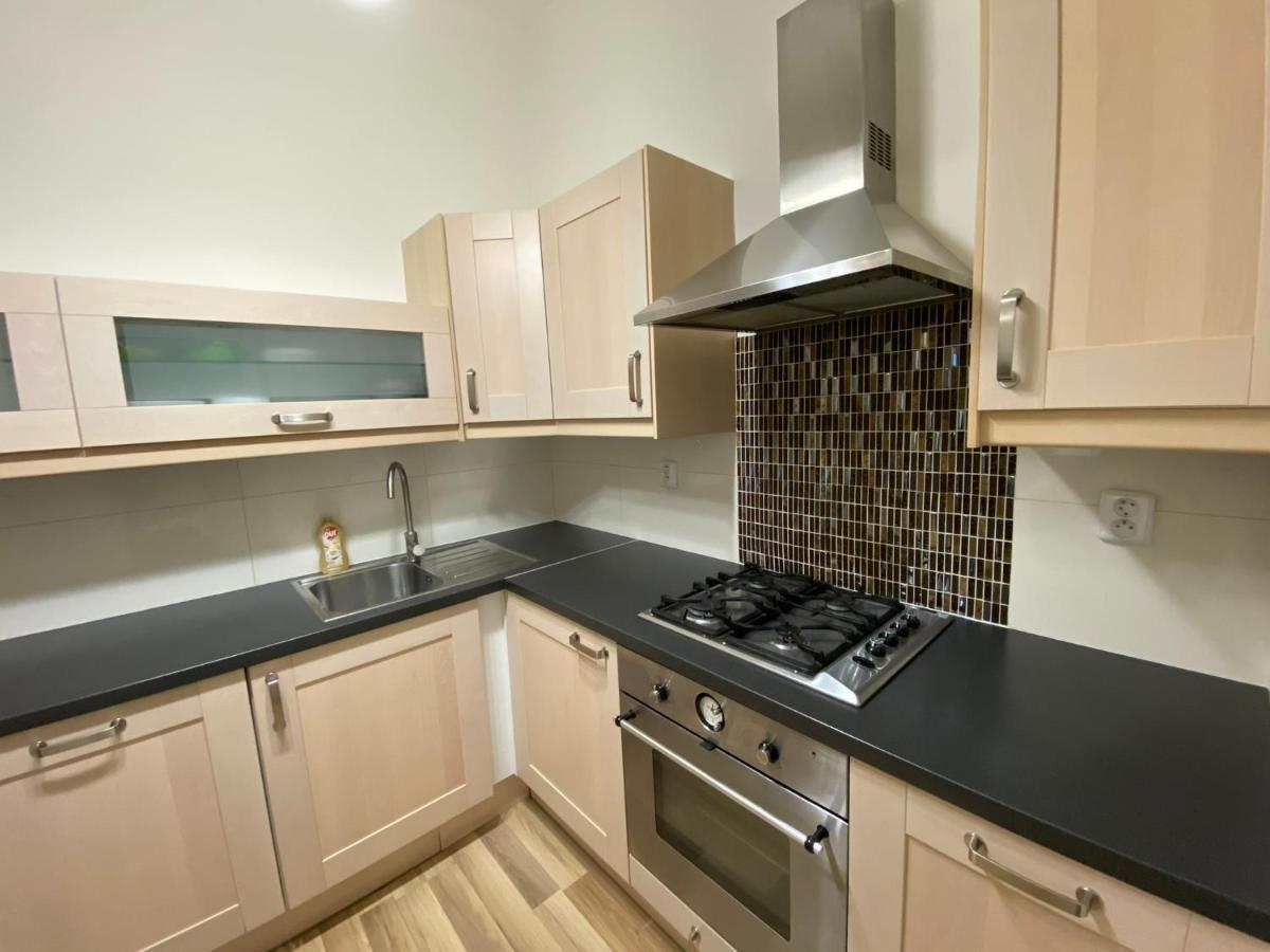 Spacious On Wenceslas Square Apartment